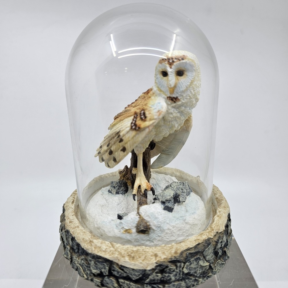 The Magnificent Barn Owl by George McMonigle ~ Limited Edition Figurine ~ TFM - Picture 1 of 5